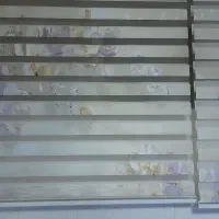 پرده زبرا