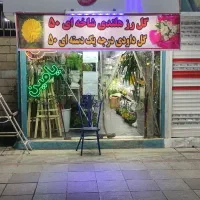 گل رز شاخه ای 50.       داوودی خوشه ای بسته ای 50