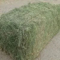 پرس یونجه انبار شده