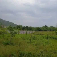 یک قطعه زمین ۵۰۰ متری /کانرود