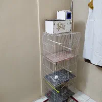قفس پرنده