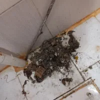 چاه کنی توقه چینی لایروبی انباری کل کزاری