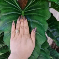 درختچه بزرگ