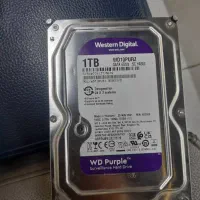 هارد یه ترابایت بنفش wd