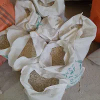 برنج برای دام و طیور