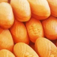 استخدام نیروی کار