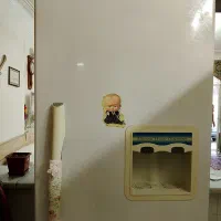 یخچال فریزر نیکسان