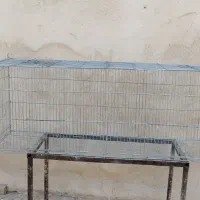 قفس جوجه پران بازاری