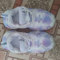 گفش|کیف، کفش، کمربند|اردبیل, |دیوار