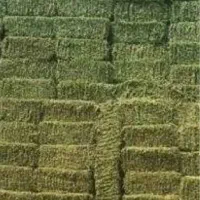 خریدار یونجه پرس