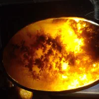نگین انگشتر شجر