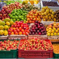 شراکتی میوه فروشی