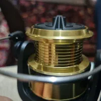 چرخ دایوا