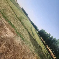 یونجه چین دو و سه