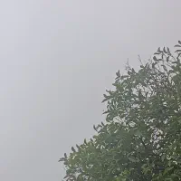 باغ-نیمه-ایثارگران