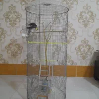قفس بدونه پرنده