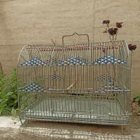 قفس گنبدی . لونه عروس هلندی