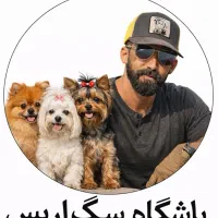 مربی سگ - پانسیون سگ