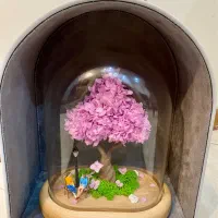کادویی درختچه جاویدان