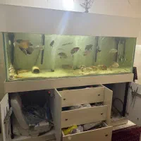 اکواریوم ۲۲۰در۷۰در۷۵ فول امکانات ۲۰میل کریستال
