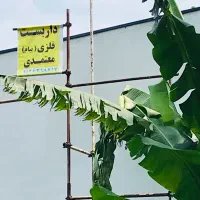 داربست فلزی معتمدی