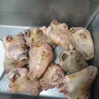 کله پاچه درجه ۱