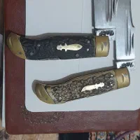چاغومیوه خوری