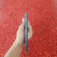 iphone 11 normal|موبایل|مشهد, جاهد شهر|دیوار