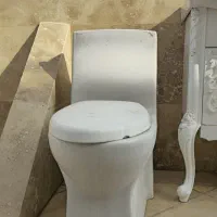 لوازم سرویس بهداشتی