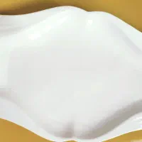 ظرف