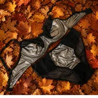لباس زیر فانتزی خاص