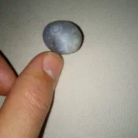 مهره باباقوری عقیق سلیمانی،راف