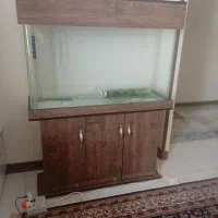 آکواریوم در حد نو نو
