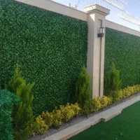 فنس چمن