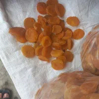 قیسی|خوردنی و آشامیدنی|ملکان, |دیوار