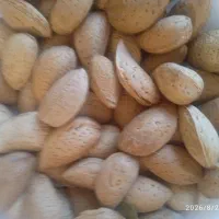 فروش بادام