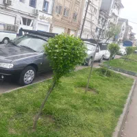 حمل و نقل با وانت