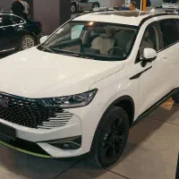 شوال 6 هیبرید سفید