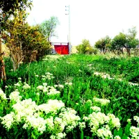 زمین-باغ-ویلا-پرآب-درگلبهار-قسطی-سند-کنتور-برق-گاز