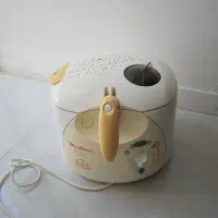سرخ کن moulinex