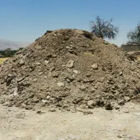 فروش 20 تن کود بلدرچین خشک