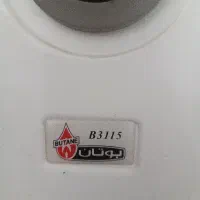 آبگرمکن دیواری بوتان