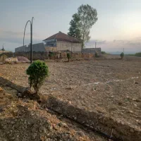 پلاک ۲۵۰ متری/دارای نامه بنیاد مسکن/بر جاده آسفالت