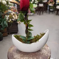 گلدان قایقی مینیمال.