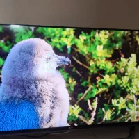 تلوزیون 50  4K LG هوشمند