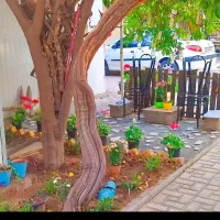 پانسیون و خوابگاه دخترانه رز در شیراز