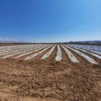 7500-متر-با-جواز-گلخانه-سند-تک-برگ-ایوانکی