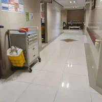 پادار هستم