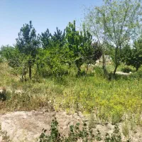 زمین-1400-متر-برای-سوله-گلخانه