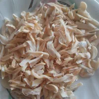 موسیر خشک
